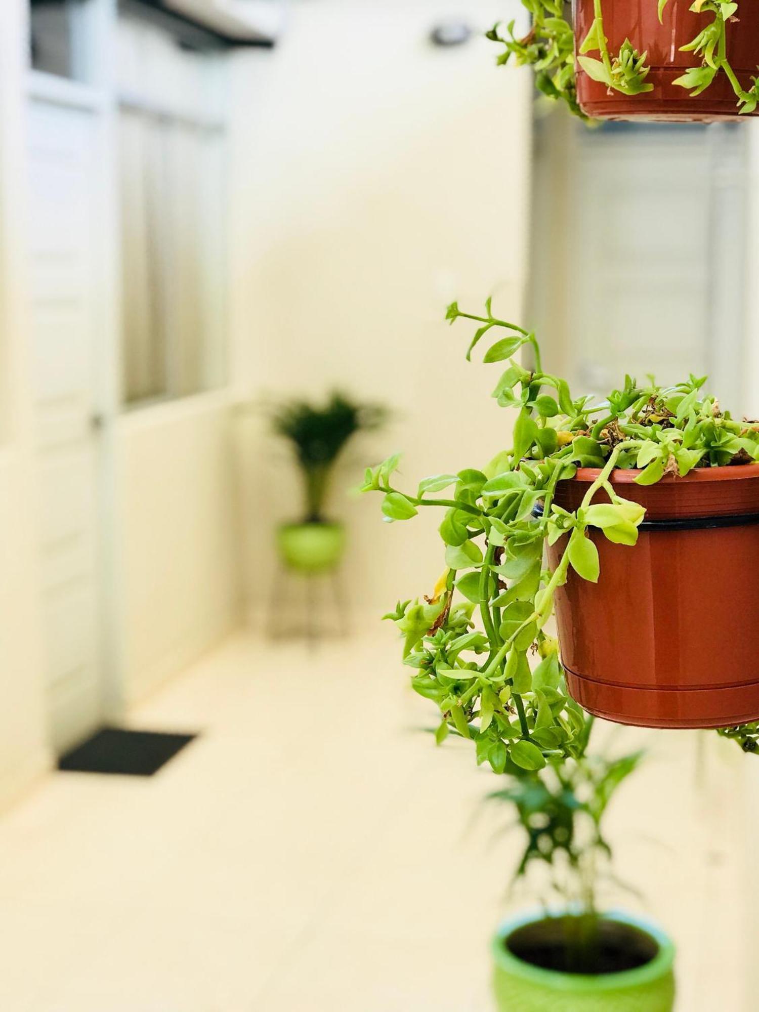 Apartamento Garden House Piura Exterior foto